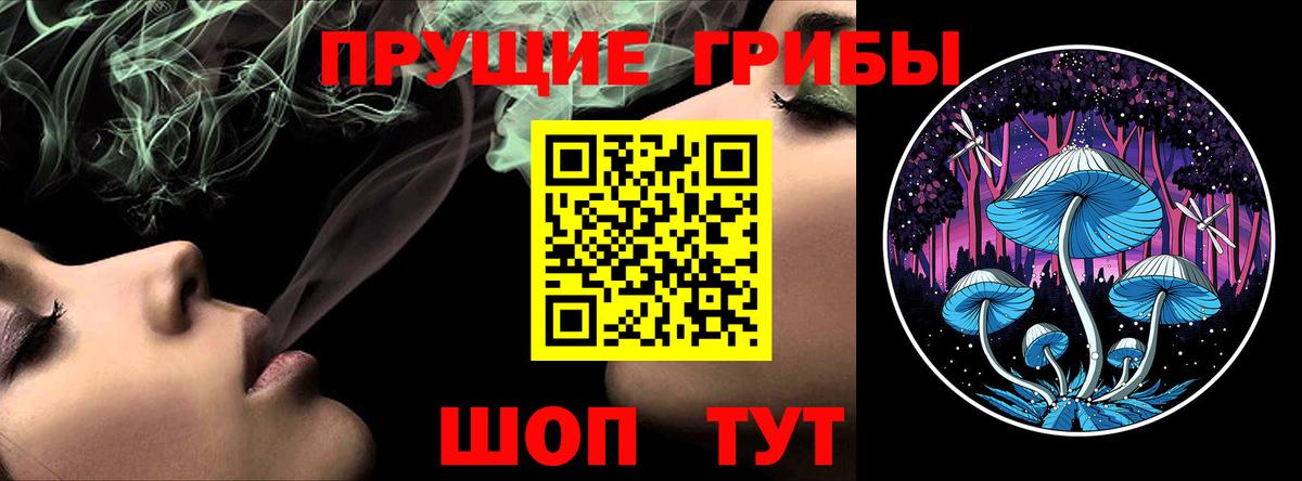 Соликамск  Псилоцибиновые грибы мицелий  Вход с VPN  Галлюциногенные грибы GOLDEN TEACHER 